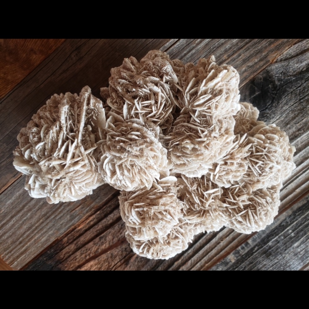 Desert Rose Beautiful Large - Picture 3 of 7